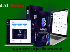 vidpalaireview